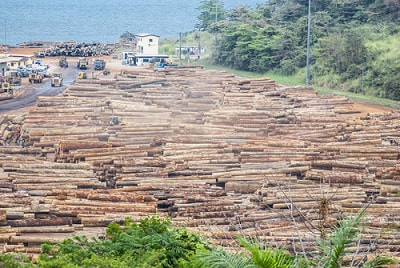 expat filing taxes in gabon