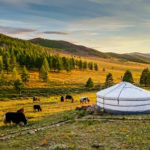 expat filing taxes in mongolia