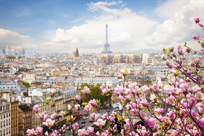 expat filing taxes in paris