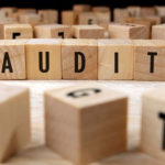 expat irs audit