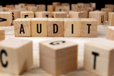 expat irs audit