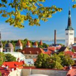 Aerial shot of Tallin, Estonia framed through the forest/