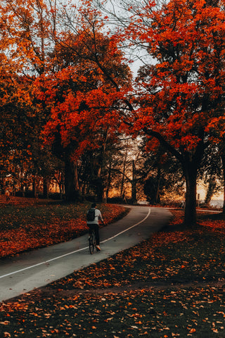 Riding a bike through fall foliage