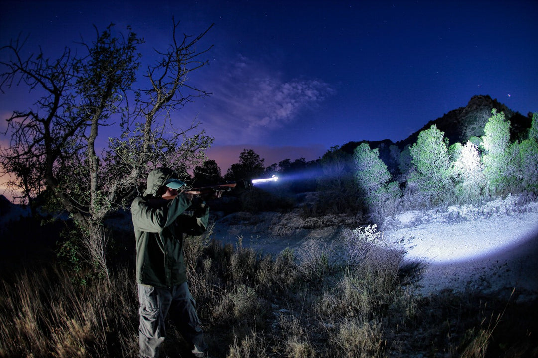 澳洲幸运10开奖结果历史查询 The Beginner’s Guide to Night Hunting