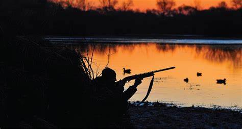 Hunting ducks at night