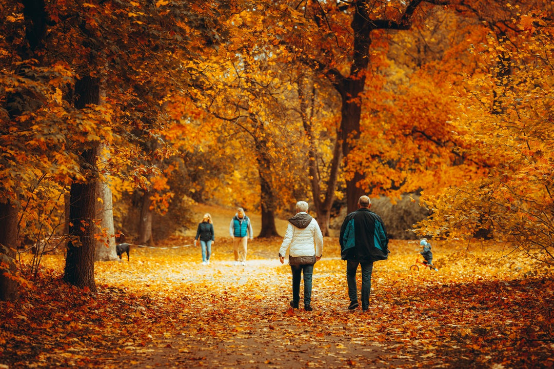 Families and friends enjoying fun fall outdoor activities, illuminated by Fenix flashlights