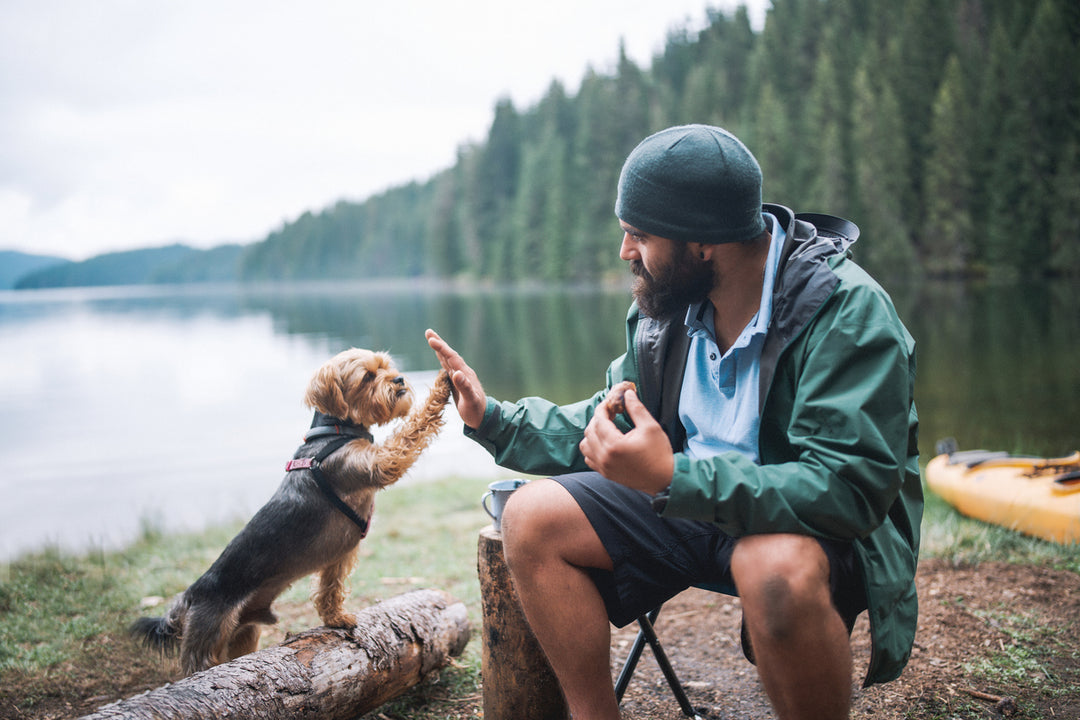 What Is Boondocking and How Do You Do It?